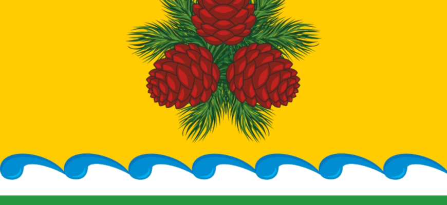 флаг Чойского района